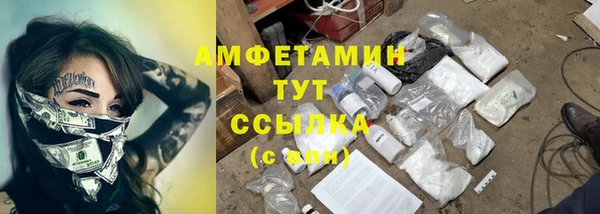 стафф Аркадак
